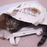 尾道市立美術館の猫トートバッグ歴代絵柄を振返り。第4弾2019年7月6日発売