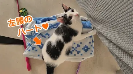 左腰のハート模様