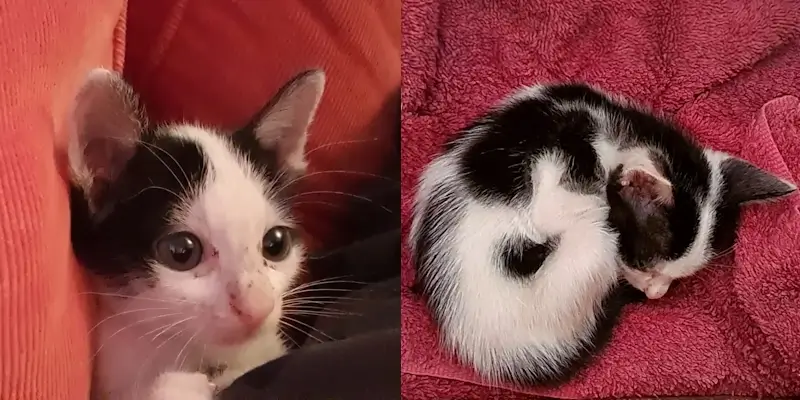 初めて見たコトの写真